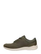 Ecco - Irving Lace
