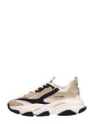 Steve Madden - Possession-e