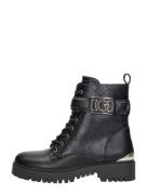 Guess - Oranda