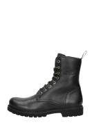 Panama Jack - Frisia