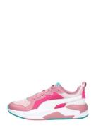 Puma - X-ray Jr