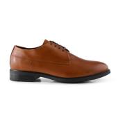 Linea Derby Leren Schoenen Shoe the Bear , Brown , Heren