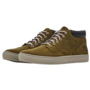 Lage Schoenen Timberland , Green , Heren