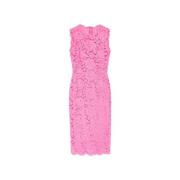 Mouwloze kanten jurk Dolce & Gabbana , Pink , Dames