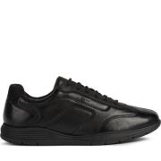 Sneakers Geox , Black , Heren