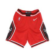 NBA Swingman Shorts Nike , Multicolor , Heren
