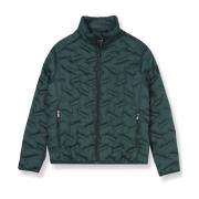 Down Jackets Pierre Cardin , Green , Heren