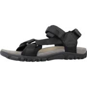 Comfortabele platte sandalen voor mannen Geox , Black , Heren