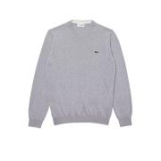 Grijze Herentruien Lacoste , Gray , Heren