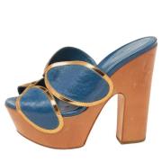 Pre-owned Leather sandals Sergio Rossi Pre-owned , Blue , Dames