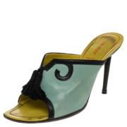 Pre-owned Leather sandals Miu Miu Pre-owned , Green , Dames