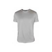 Ash-Grijze Katoenen T-Shirt Loro Piana , Gray , Heren