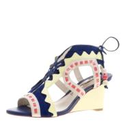 Pre-owned Suede sandals Sophia Webster Pre-owned , Multicolor , Dames