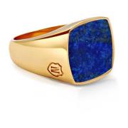 Men's Gold Signet Ring with Blue Lapis Nialaya , Yellow , Heren