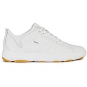 Sneakers Geox , White , Heren