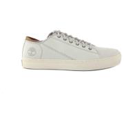 Witte Leren Sneakers Timberland , White , Heren