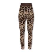 Luipaardprint leggings Dolce & Gabbana , Beige , Dames