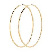 Senorita 70 Hoops Maria Black , Yellow , Dames