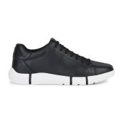 Zwarte Sneakers voor Mannen Geox , Black , Heren