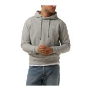 Heren Hoodie Sweater Grijs Forét , Gray , Heren