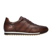 Bruine leren sneakers 2445 Magnanni , Brown , Heren