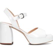 Witte Plateau Sandalen met Blokhak Unisa , White , Dames