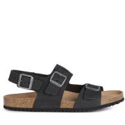 Zwarte platte sandalen voor mannen Geox , Black , Heren