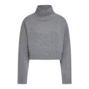 Grijze Sweaters voor Mannen Roberto Collina , Gray , Dames