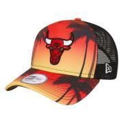 Trucker Chicago Bulls Pet New Era , Multicolor , Unisex