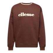 Regno Hoodie Ellesse , Brown , Heren