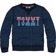 Blauwe Logo Sweater Regular Fit Tommy Jeans , Blue , Heren