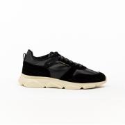 Heren Wing Low Sneakers Pantofola d'Oro , Black , Heren