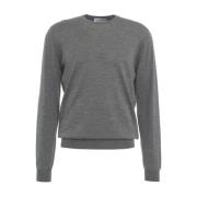 Grijze Gebreide Trui Aw24 Handwas Gender , Gray , Heren