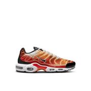 Klassieke Air Max Plus Sneakers Nike , Multicolor , Heren