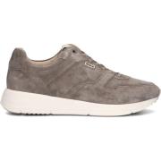 Taupe Suede Walker H Sneakers Greve , Beige , Heren