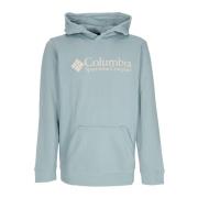 Basic Logo Hoodie Stone Blue Columbia , Blue , Heren