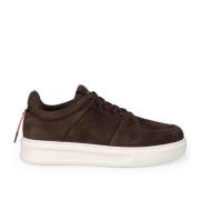 Jimbo Sneakers Barracuda , Brown , Heren