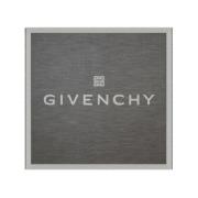 Elegant Grijs Sjaal Givenchy , Gray , Dames