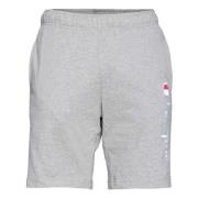 Korte broek Champion , Gray , Heren