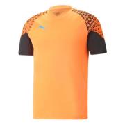 Individuele CUP Trainings T-shirt Puma , Orange , Heren