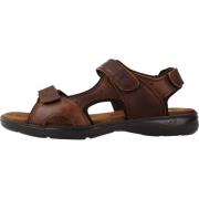 Adhesive Strap Flat Sandals Fluchos , Brown , Heren