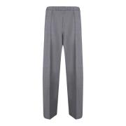 Grijze Elegante Broek Diamant Detail Fabiana Filippi , Gray , Dames