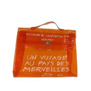 Pre-owned Vinyl handbags Hermès Vintage , Orange , Dames