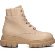 Roze Leren Enkellaarsjes Maxine Lux Attilio Giusti , Beige , Dames