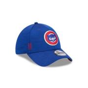 Royal Cubs Mlb24 Club Pet New Era , Blue , Unisex