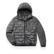 Albert Puffer Jacket Blauer , Gray , Heren