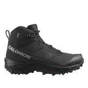 Zwart Asfalt CrossTrak Waterdichte Schoenen Salomon , Black , Heren