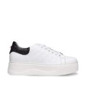 sneakers 3162 Cult , White , Dames