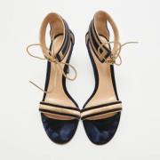 Pre-owned Velvet sandals Gianvito Rossi Pre-owned , Beige , Dames