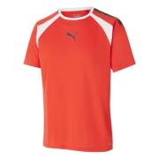 TeamLIGA T-shirt Puma , Red , Unisex